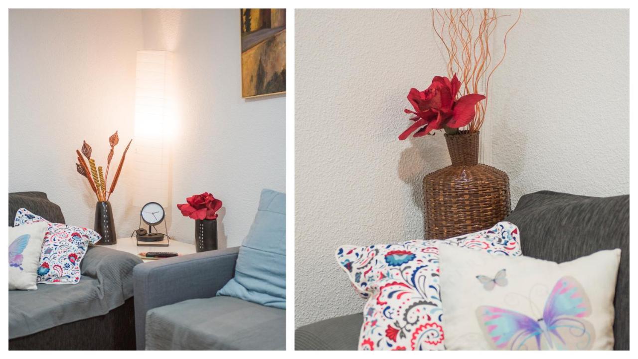 Appartement Feliz Toledo